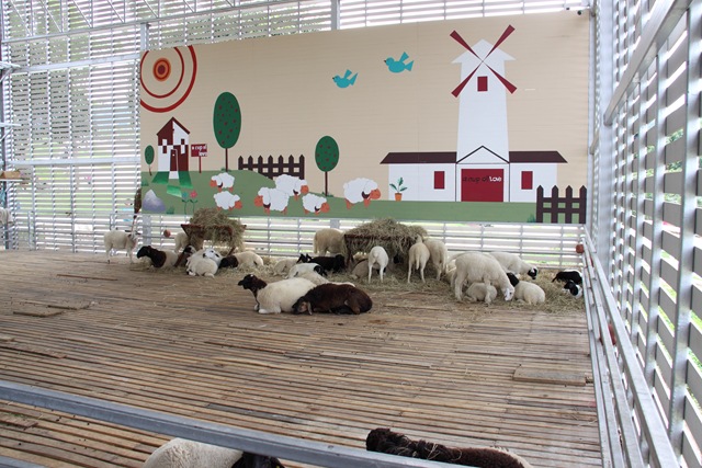 [IMG_3198DPP%255B2%255D.jpg]