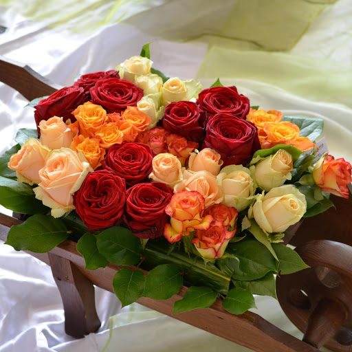 Hd-149218-ascw149218