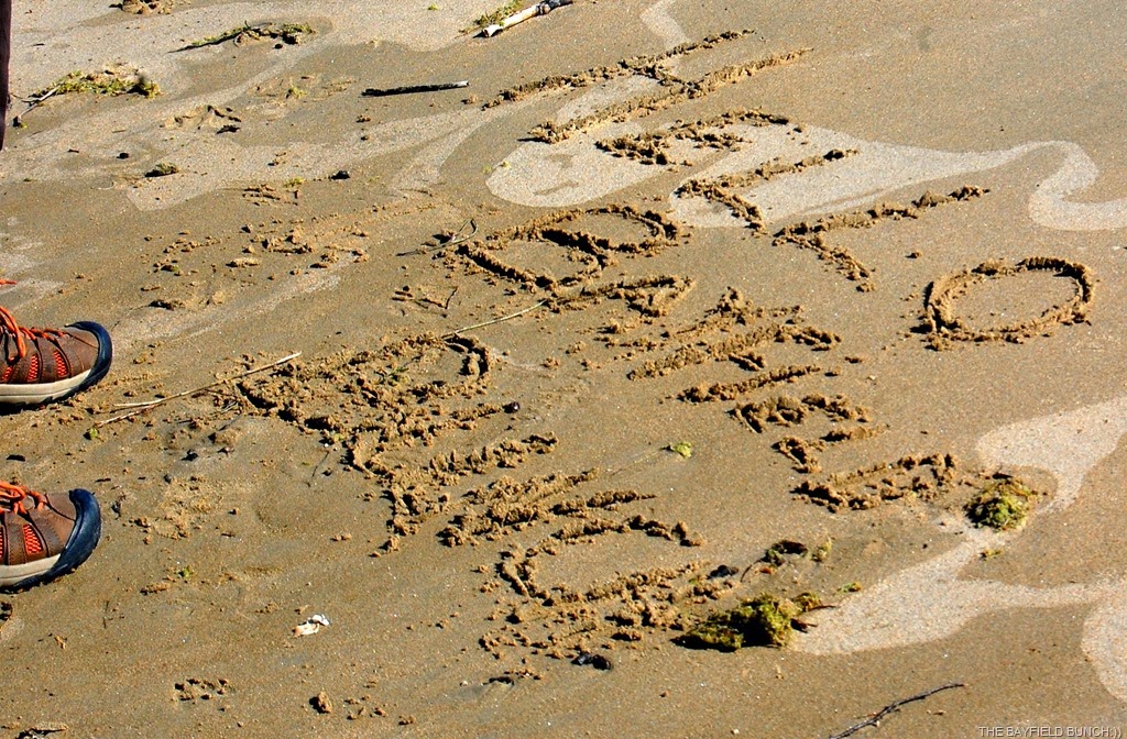 [DSC_1523%255B3%255D.jpg]