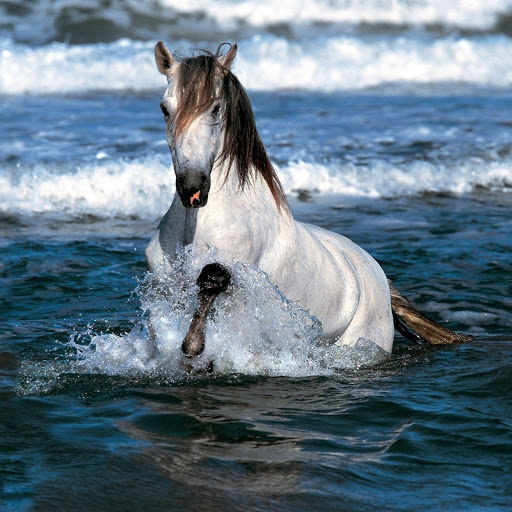 Hd-174719-ascw174719