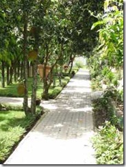 Chitwan-National-Park-162171_156 Chitwan-National-Park-162171_156