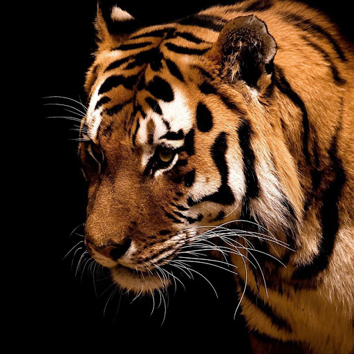 Hd-140098-ascw140098