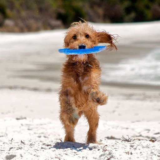 Hd-132340-ascw132340