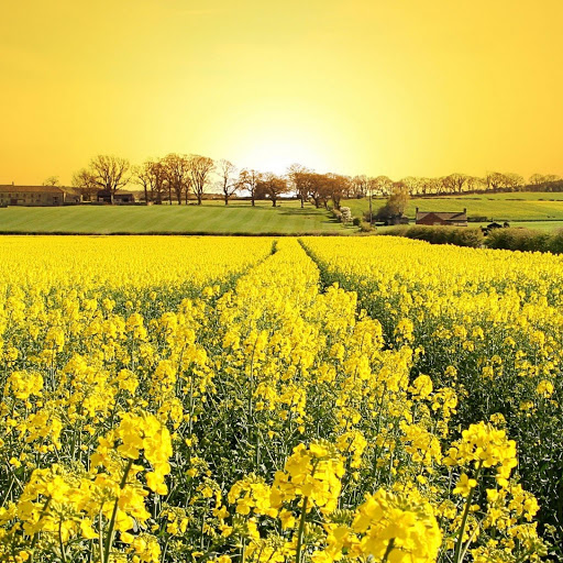 Hd-147673-ascw147673