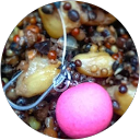 jorge b. profile picture