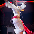 IMG_9702.jpg