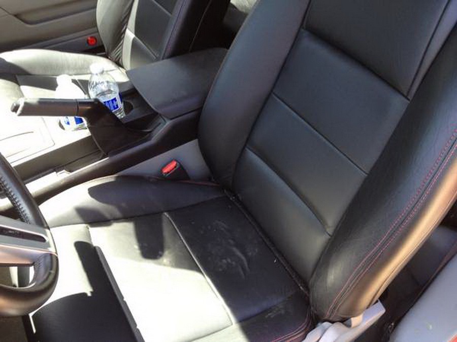 [Ford-Mustang-Creature-5%255B2%255D.jpg]