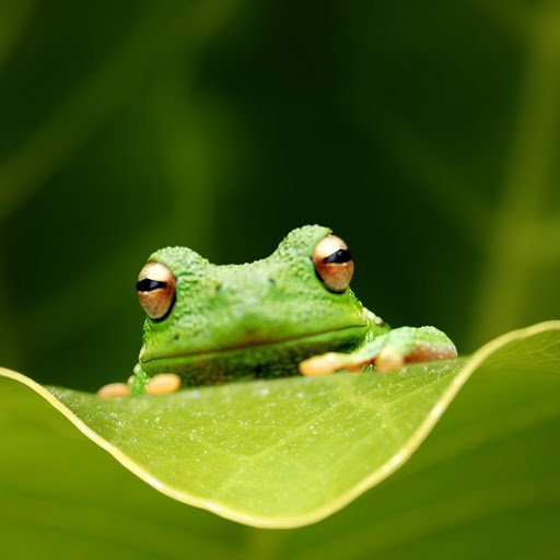 Hd-183356-ascw183356