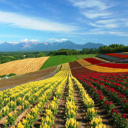 Hd-161772-ascw161772