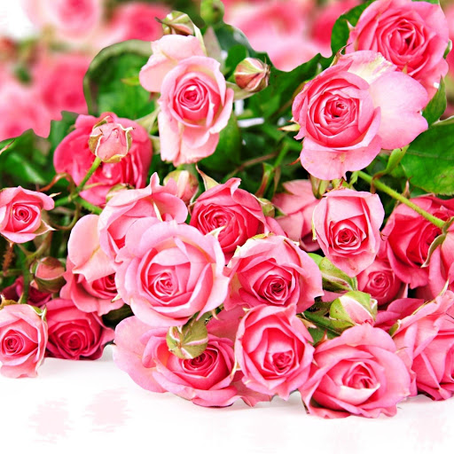 Hd-145945-ascw145945