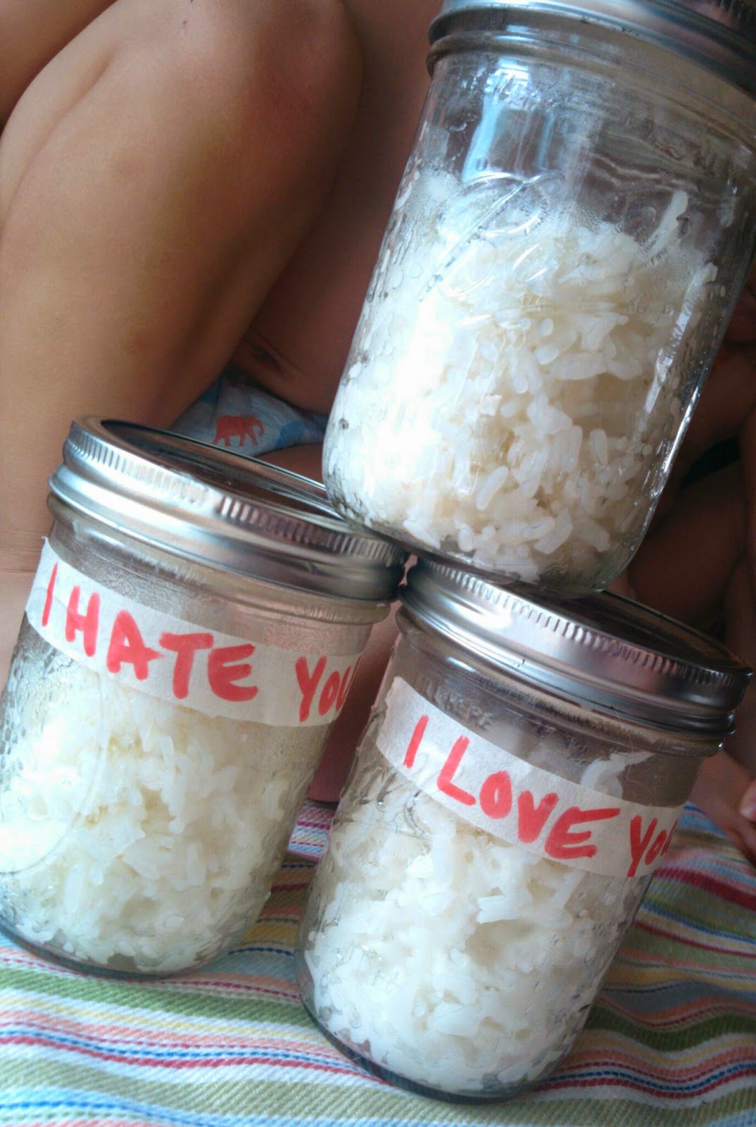 I Love You I Hate You Clean Wherever We Wander: I Love You~ I Hate You Rice Experiment (Clean)