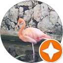 Image Google de Domiltide L