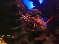 2012-10-20 Mallorca by BREITENGRAD53 - 189