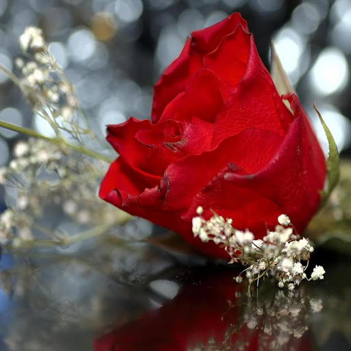 Hd-151439-ascw151439