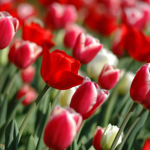 Hd-156198-ascw156198