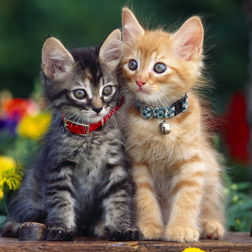 Hd-139135-ascw139135