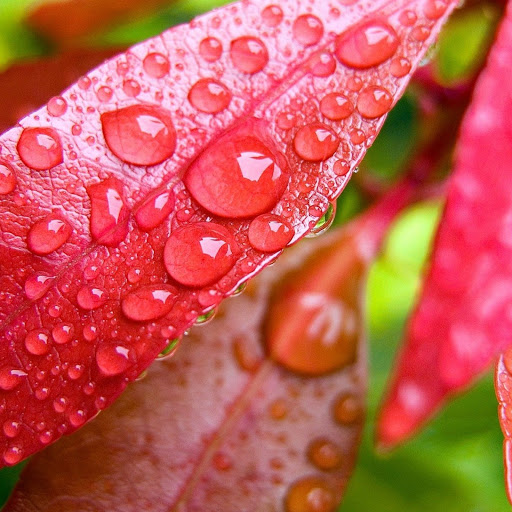 Hd-148564-ascw148564