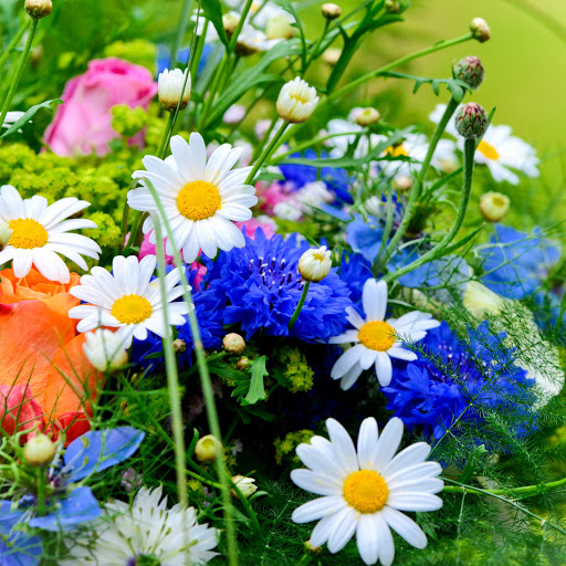 Hd-156748-ascw156748