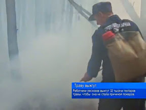 Траву выжгут