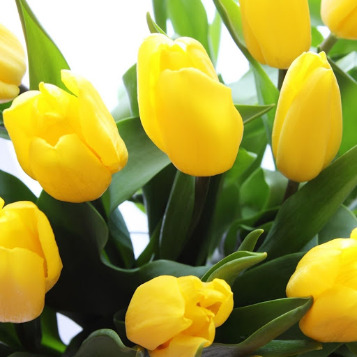 Hd-145179-ascw145179