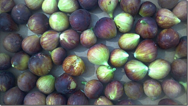 figs