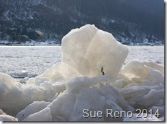 Ice on the Susquehanna River, 2/2014, by Sue Reno, Image 9