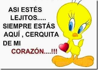 amor lejano, piolin con corazon