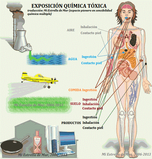 EXPOSOME: UNA GRAN HERRAMIENTA PARA LA EVALUACIÓN DE LA EXPOSICIÓN INDIVIDUAL A TÓXICOS (AETOX, Asoc. Española de Toxicología)