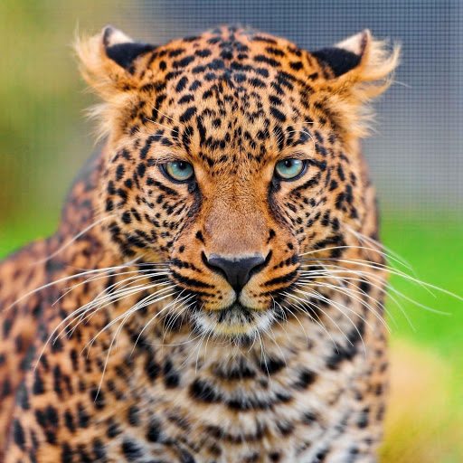 Hd-144298-ascw144298