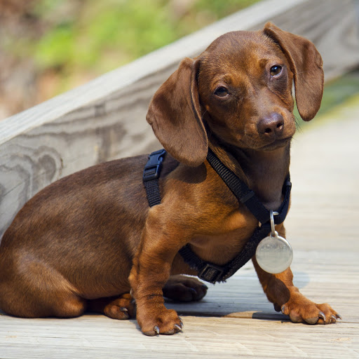 Hd-145952-ascw145952