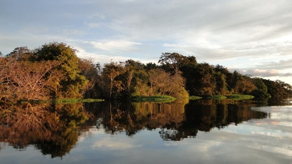 Lago Mamirauá