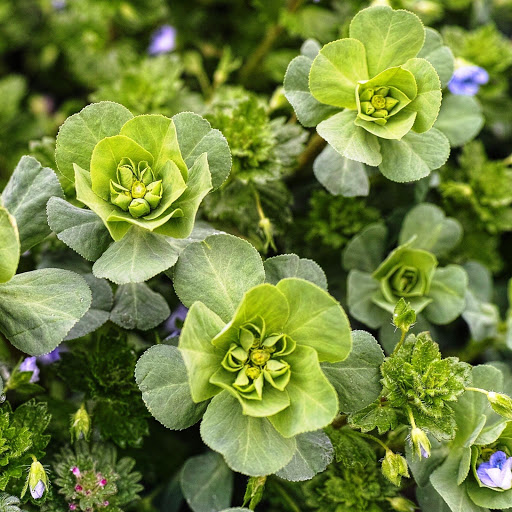 Hd-148711-ascw148711