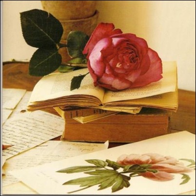 books and rose