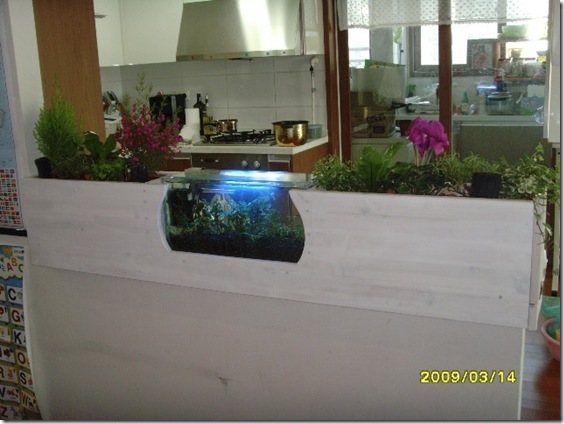 Gallery3956_8