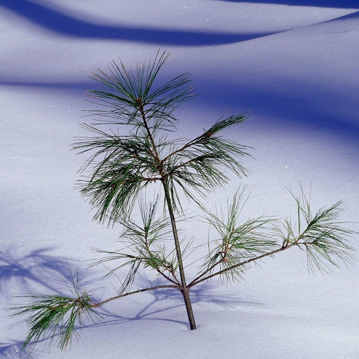 Hd-182707-ascw182707