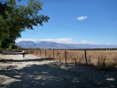 Beautiful country roads in Cafayate.