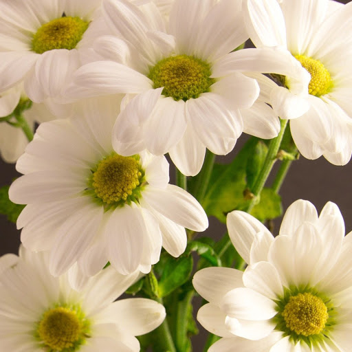 Hd-148562-ascw148562