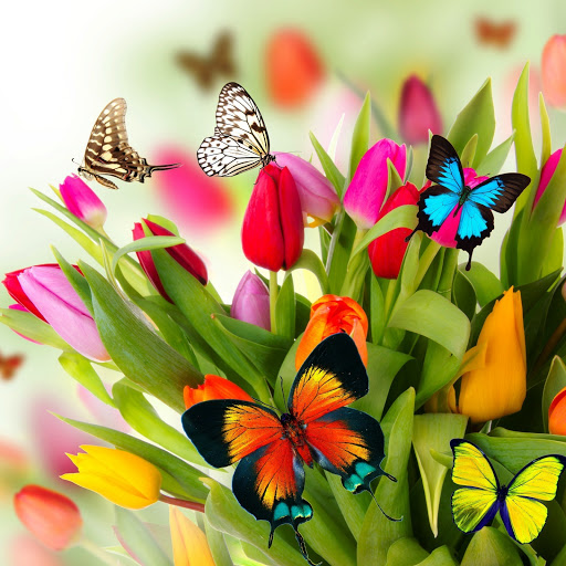 Hd-164406-ascw164406