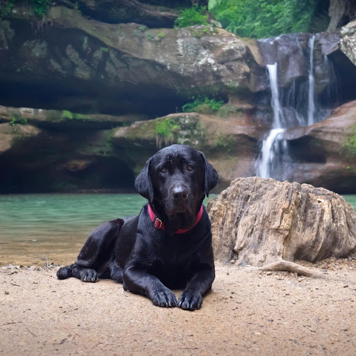 Hd-174833-ascw174833