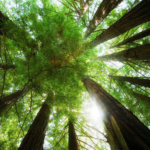 Hd-164865-ascw164865