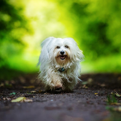 Hd-147485-ascw147485