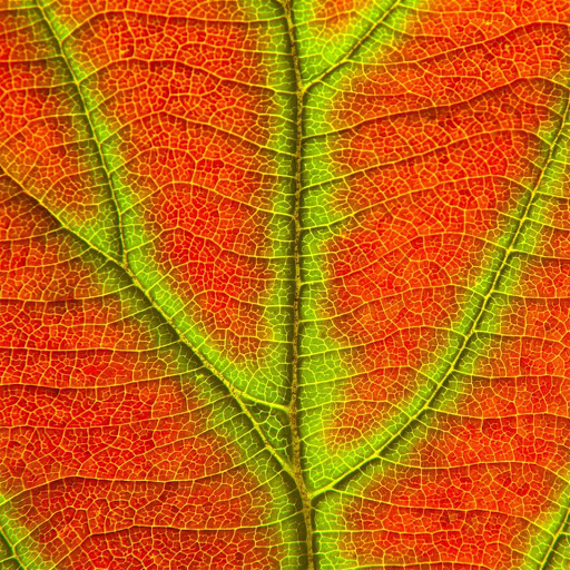 Hd-139599-ascw139599