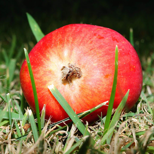 Hd-152575-ascw152575