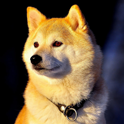 Hd-180681-ascw180681