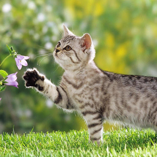 Hd-169528-ascw169528