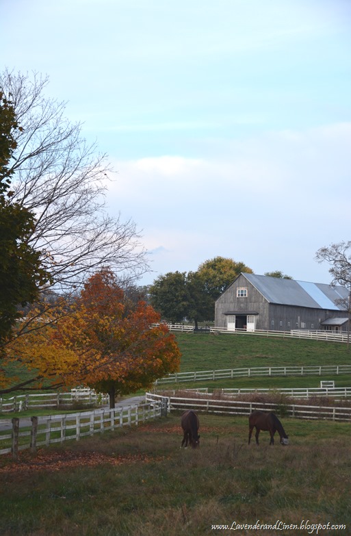 Horsefarm in KY