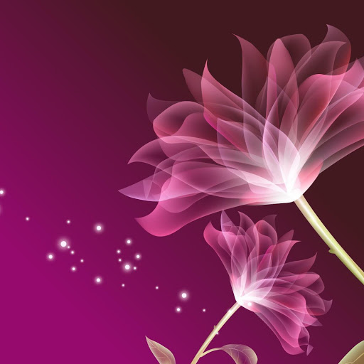 Hd-146644-ascw146644