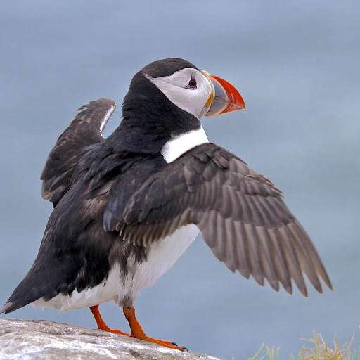 Hd-177816-ascw177816