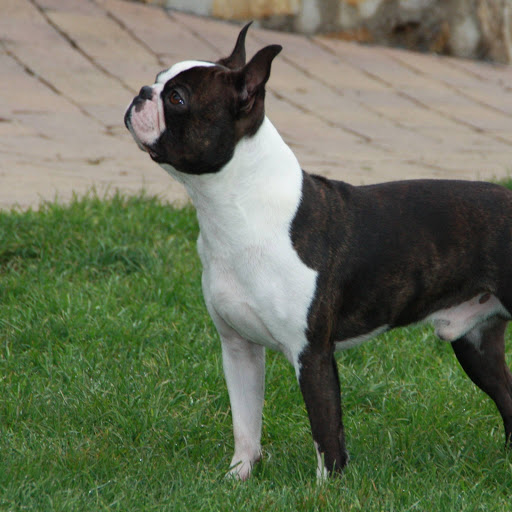 Hd-157162-ascw157162