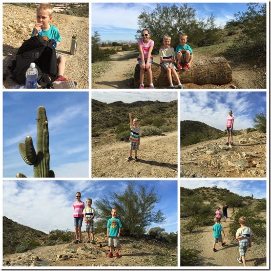 Phoenix hike Collage